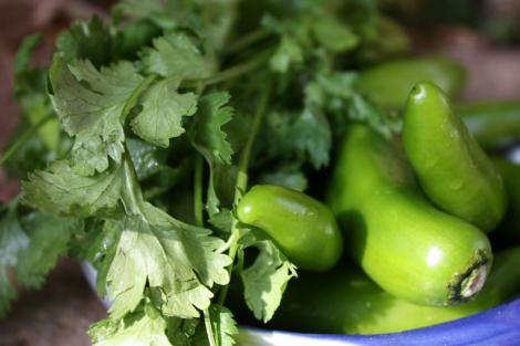 hot green peppers and coriander