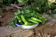 FRESH green peppers etc.