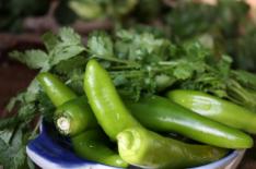 green peppers and coriander, from another angel